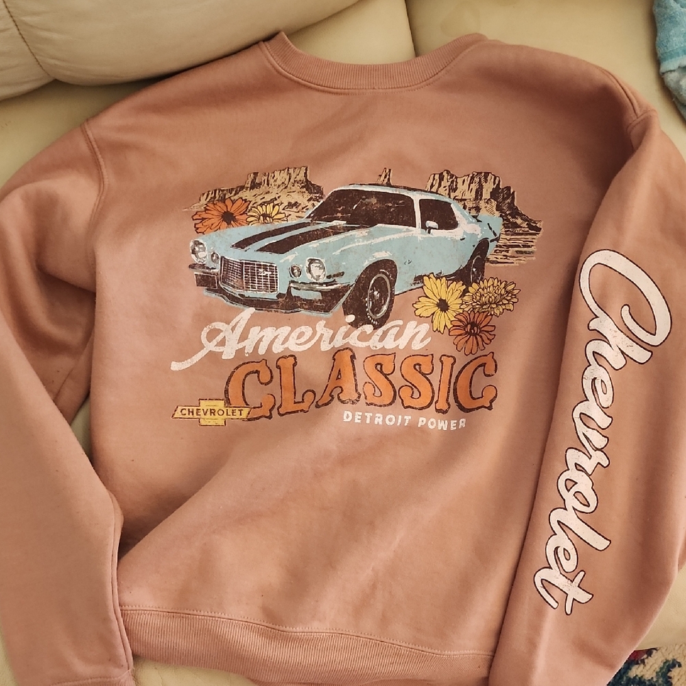 Hybrid Apparel Brown Sweatshirt